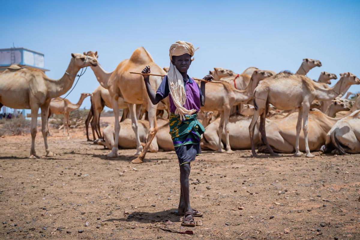 Niño pastor nómada en Somalia