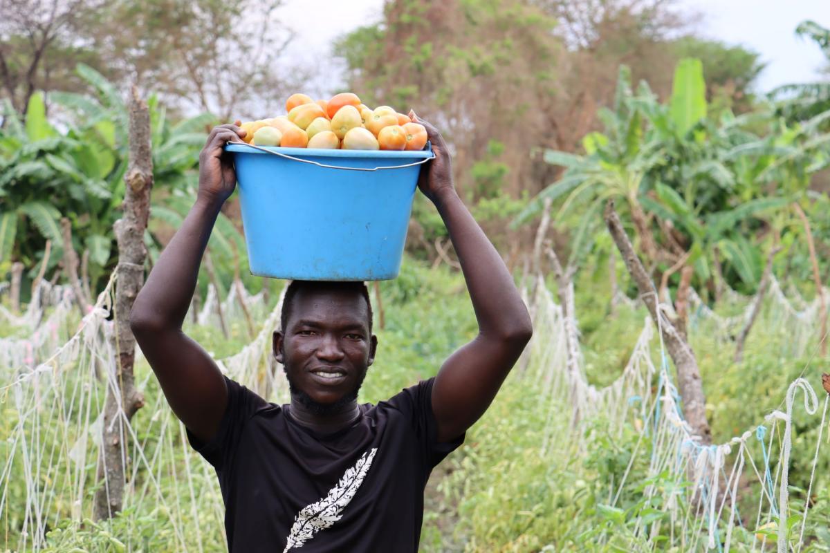 Refugiado sursudanés con su cultivo en Uganda