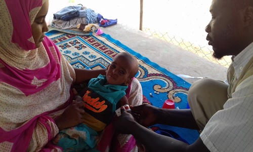 Mauritanie: faire face a la situation nutritionnelle alarmante au sud