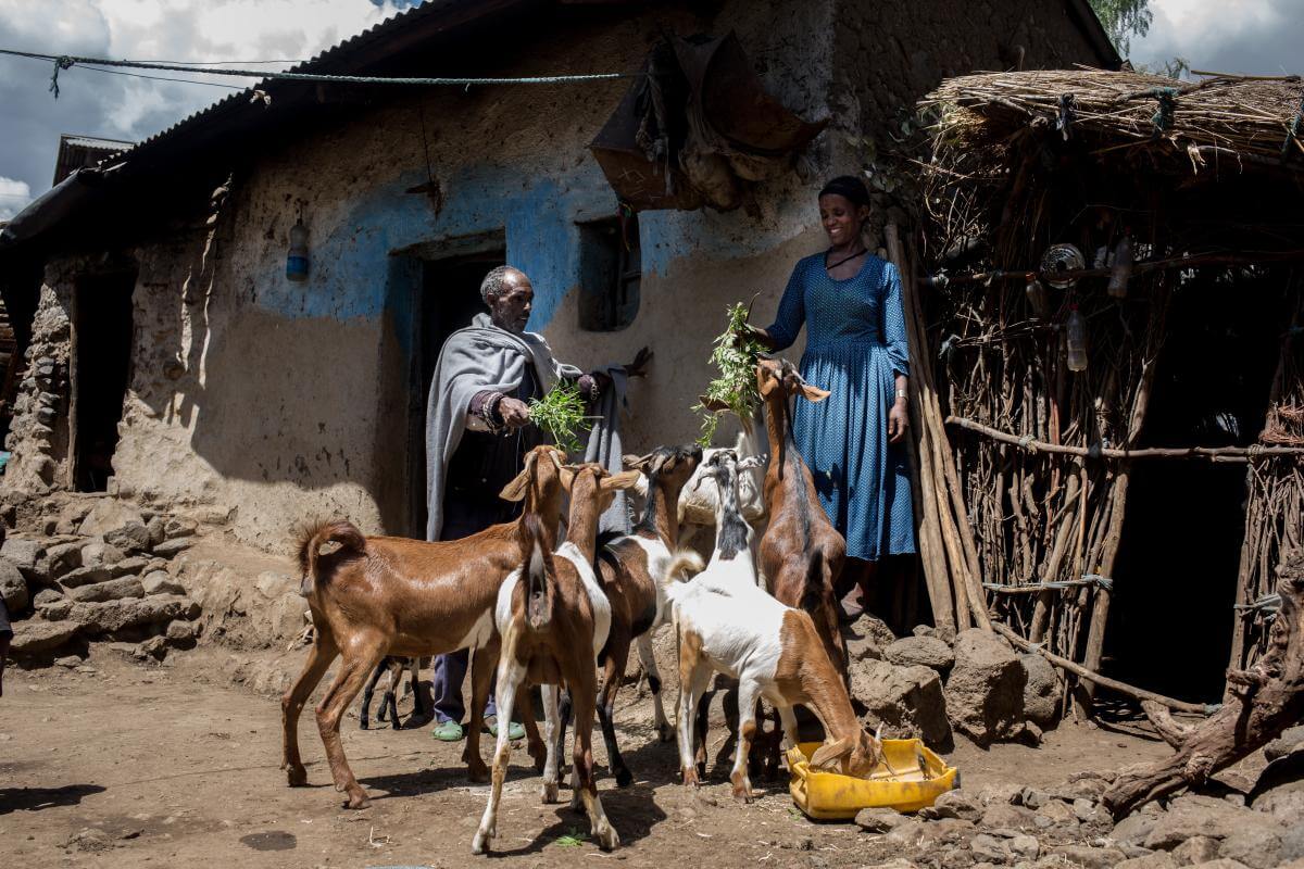 Etiopía, desnutrición, hambre