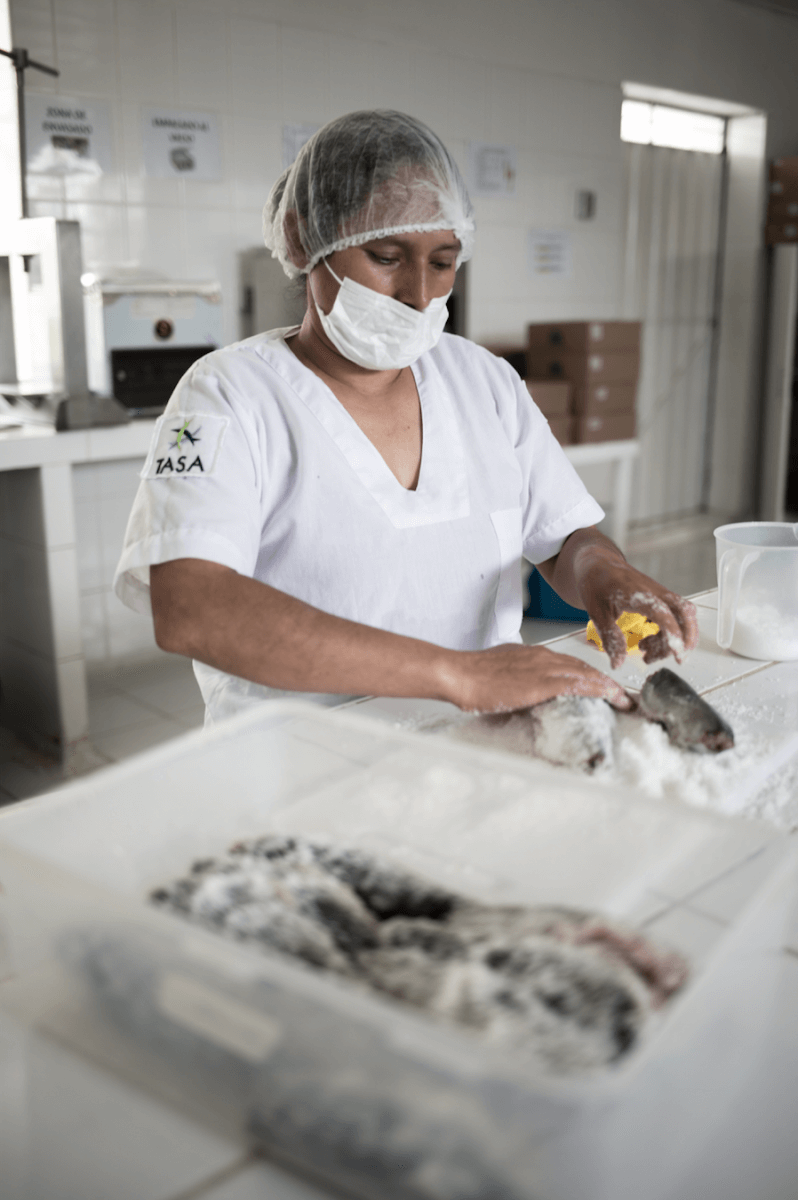 Trabajadora de Sumaq Esmeraldas durante el proceso de secado del pescado