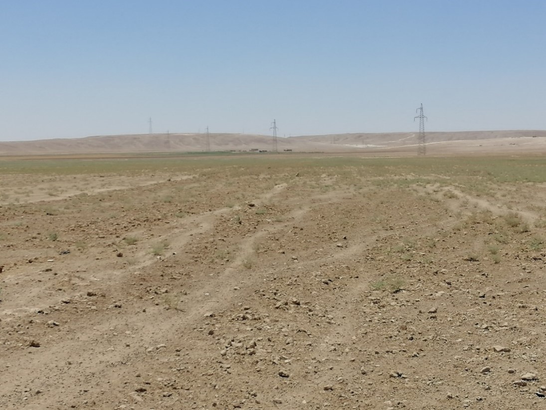 Un campo normalmente sembrado de trigo que yace vacío. Esta es una tierra de secano que no se cultivó este año debido a los graves daños causados por la sequía en Siria.