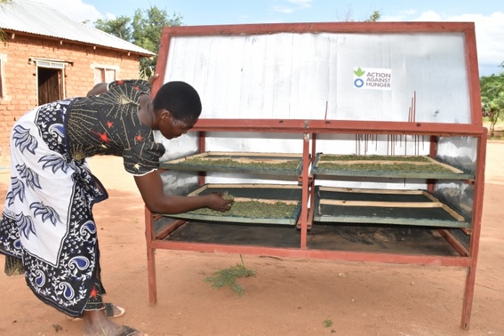 Una mujer seca sus cultivos con un secador solar.