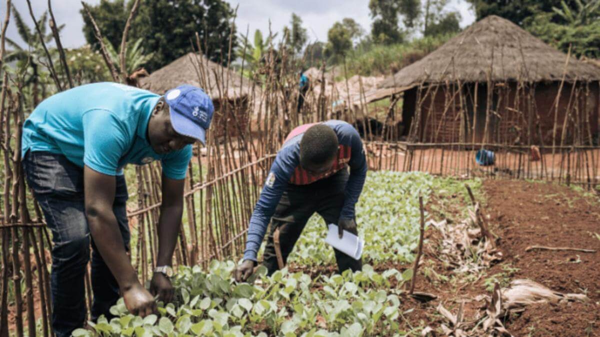 agricultura en Ituri República Democrática del Congo