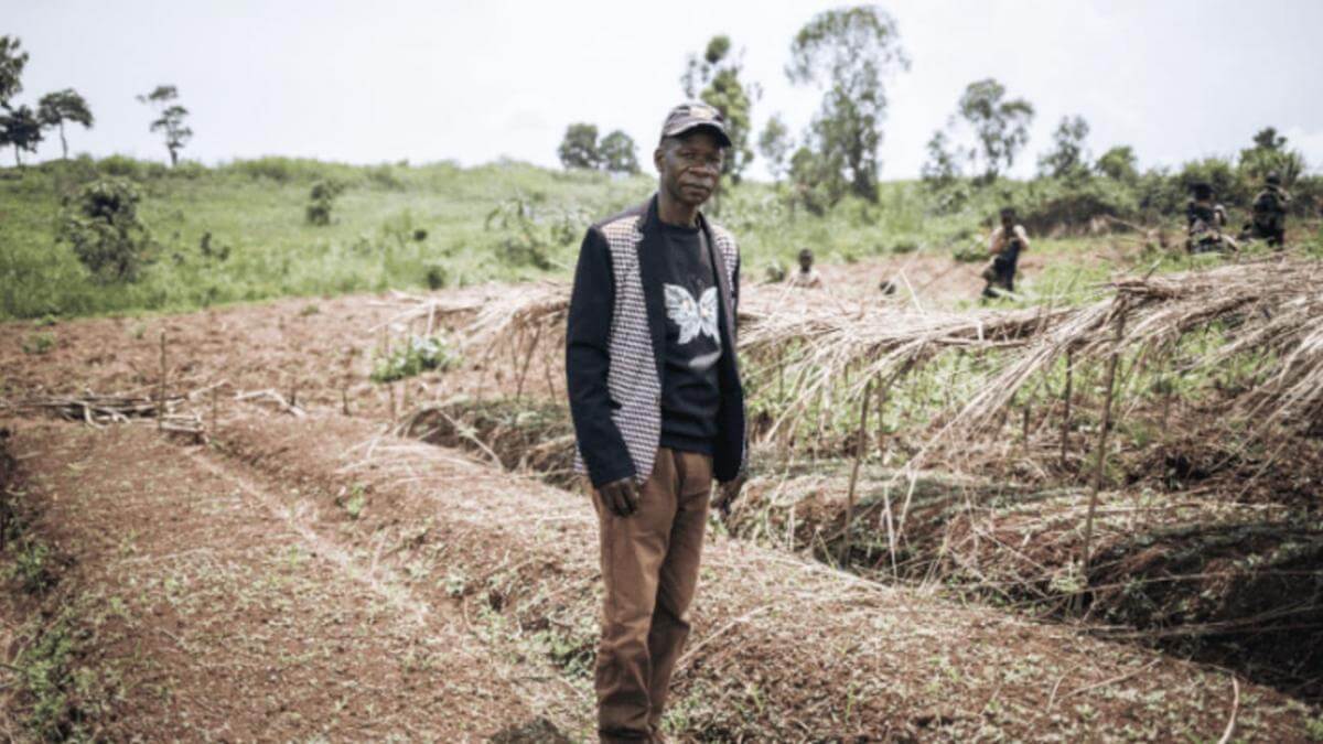 horticultura y agricultura en Ituri República Democrática del Congo