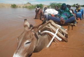 Las inundaciones provocadas por el clima desplazan a casi 1,6 millones de personas en el Cuerno de África
