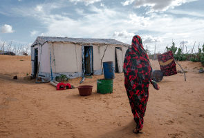 1 de cada 10 mauritanos sufre inseguridad alimentaria mientras se intensifica la ola de refugiados malienses