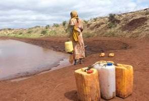 Una sequía récord y el aumento de los conflictos amenaza al cuerno de África