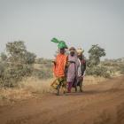 Diez huertos de moringa oleífera crecen en Níger para combatir la desnutrición