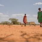 El cuerno de África en riesgo de crisis alimentaria grave por la sequía 