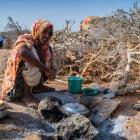 Un nuevo informe advierte de amplias zonas de Somalia al borde de la hambruna.