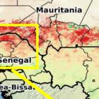 “La grave sequía en Sahel podría provocar una gran crisis humana en 2018”
