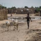 Lago Chad: "La comunidad internacional debe coordinar más y mejor la ayuda a 11 millones de personas"