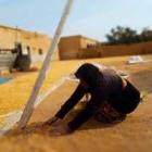 La población siria se enfrenta al mayor riesgo de hambre de la década