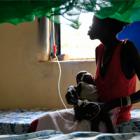 “Probabilidad de hambruna”: una nueva clasificación para activar la alerta