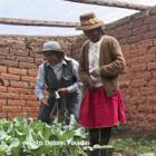 Alternativas alimentarias para las familias en el altiplano de Perú