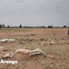 SENEGAL: 245 000 personas sin alimentos por la tercera sequía en seis años
