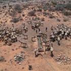 Sahel: información geográfica alimentada por pastores y satélites para reducir el hambre