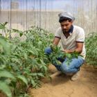 A Seed of Goodness - Nader Abu Anza’s Story 