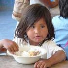 Requerimientos nutricionales en la infancia: importancia de una correcta educación nutricional