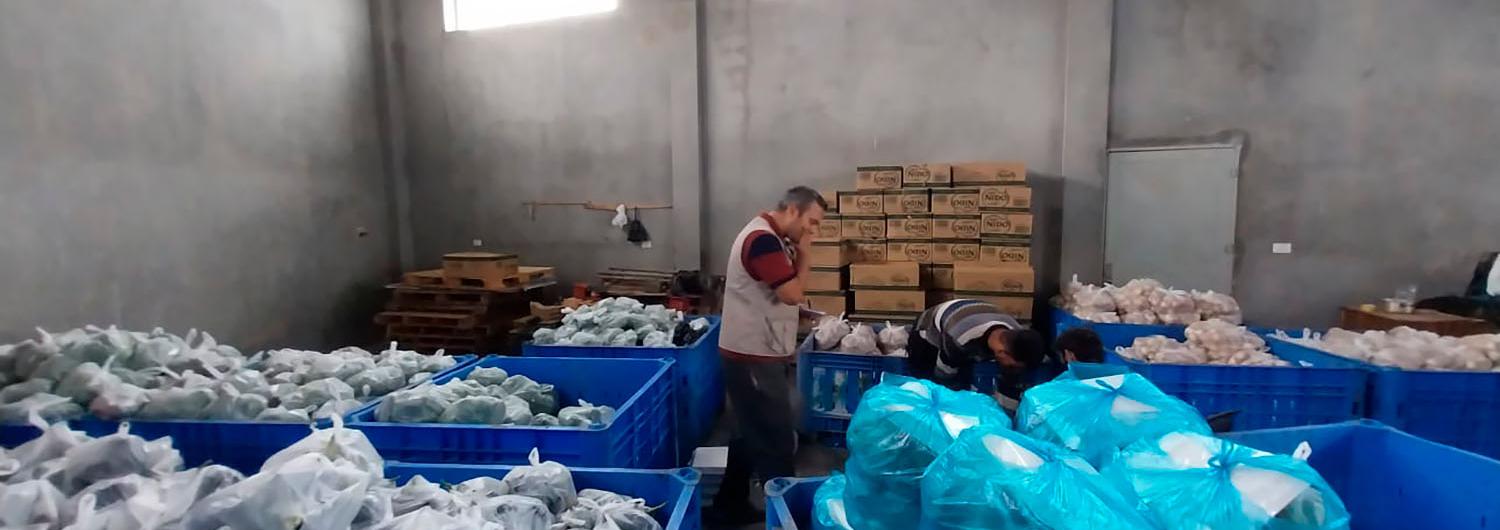 Action Against Hunger teams prepare packages of fresh fruit and vegetables for distribution to families in Gaza for distribution to families in Gaza