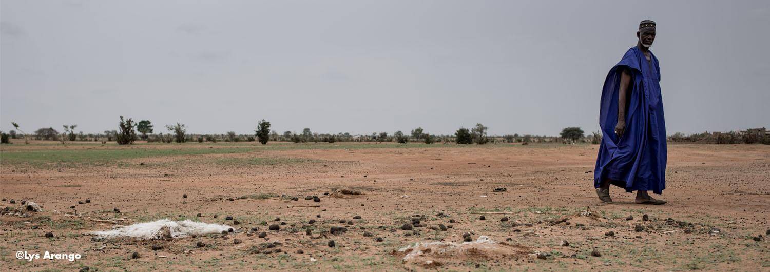 Senegal y la región trasfronteriza con Mauritania están viviendo el tercer episodio de sequía en seis años, tras 2011 y 2014. La falta de pastos está provocando una muerte masiva de ganado, principal medio de vida de la población. 