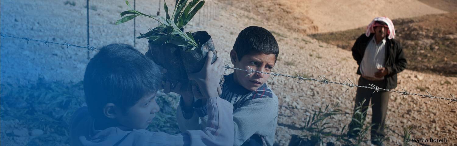 Territorio Palestino Ocupado Cabecera