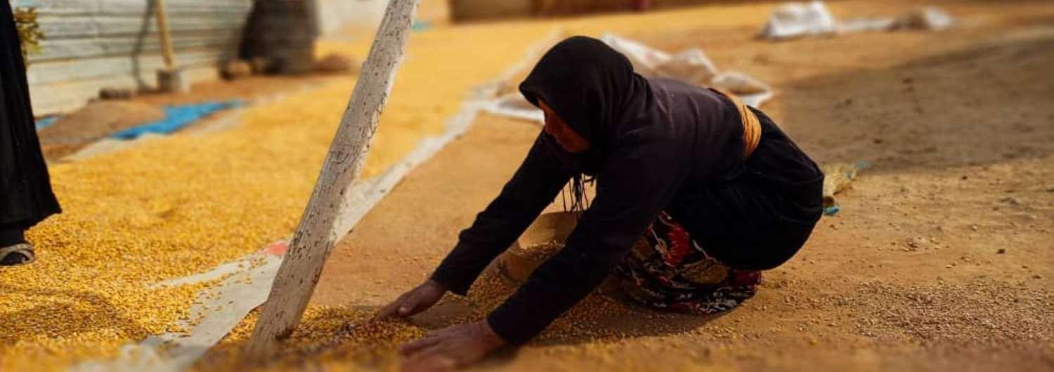 La población siria se enfrenta al mayor riesgo de hambre de la década.