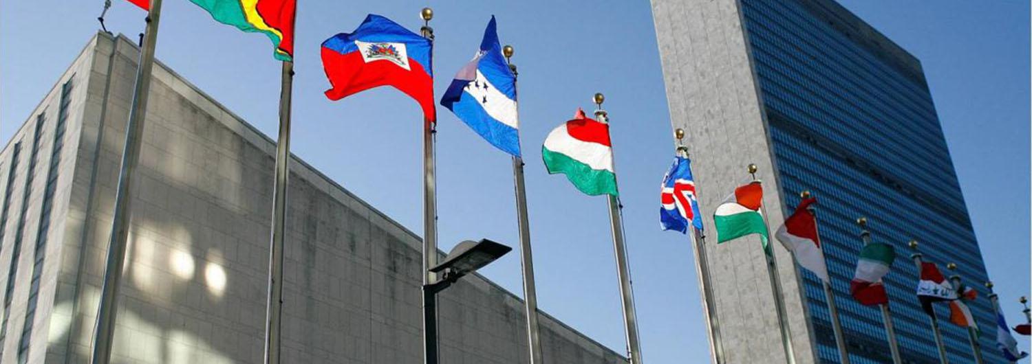Pedimos a Naciones Unidas que marque el hambre como línea roja en los conflictos