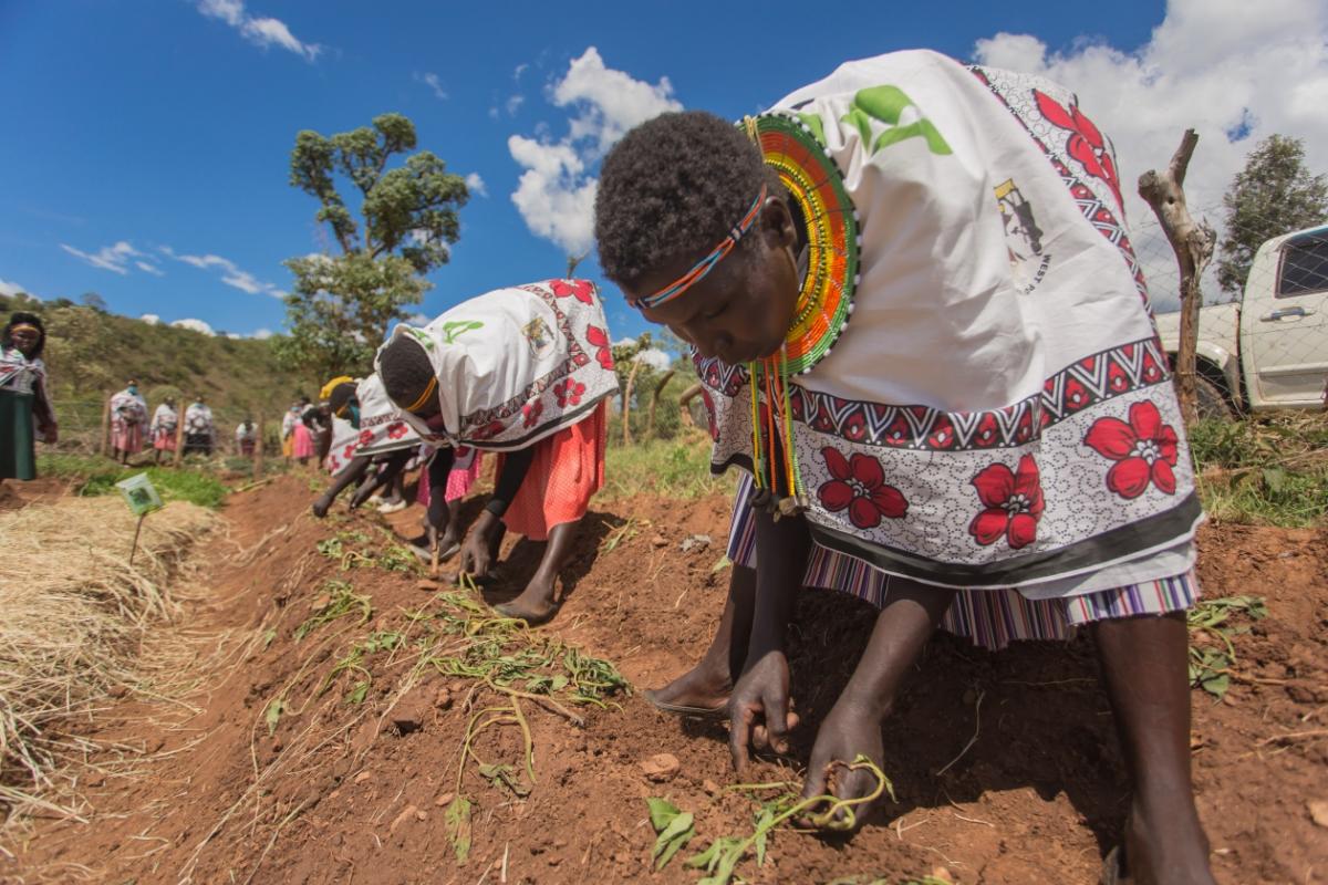 Mujeres cultivando el suelo