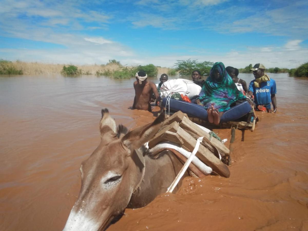 personas mayores huyen en burro de las inundaciones en el Cuerno de África